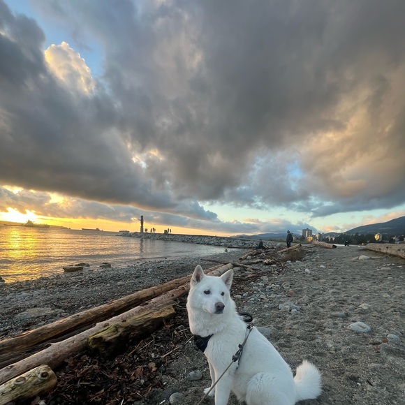 Meet your Posher, Sarah - Picture 2 of 5